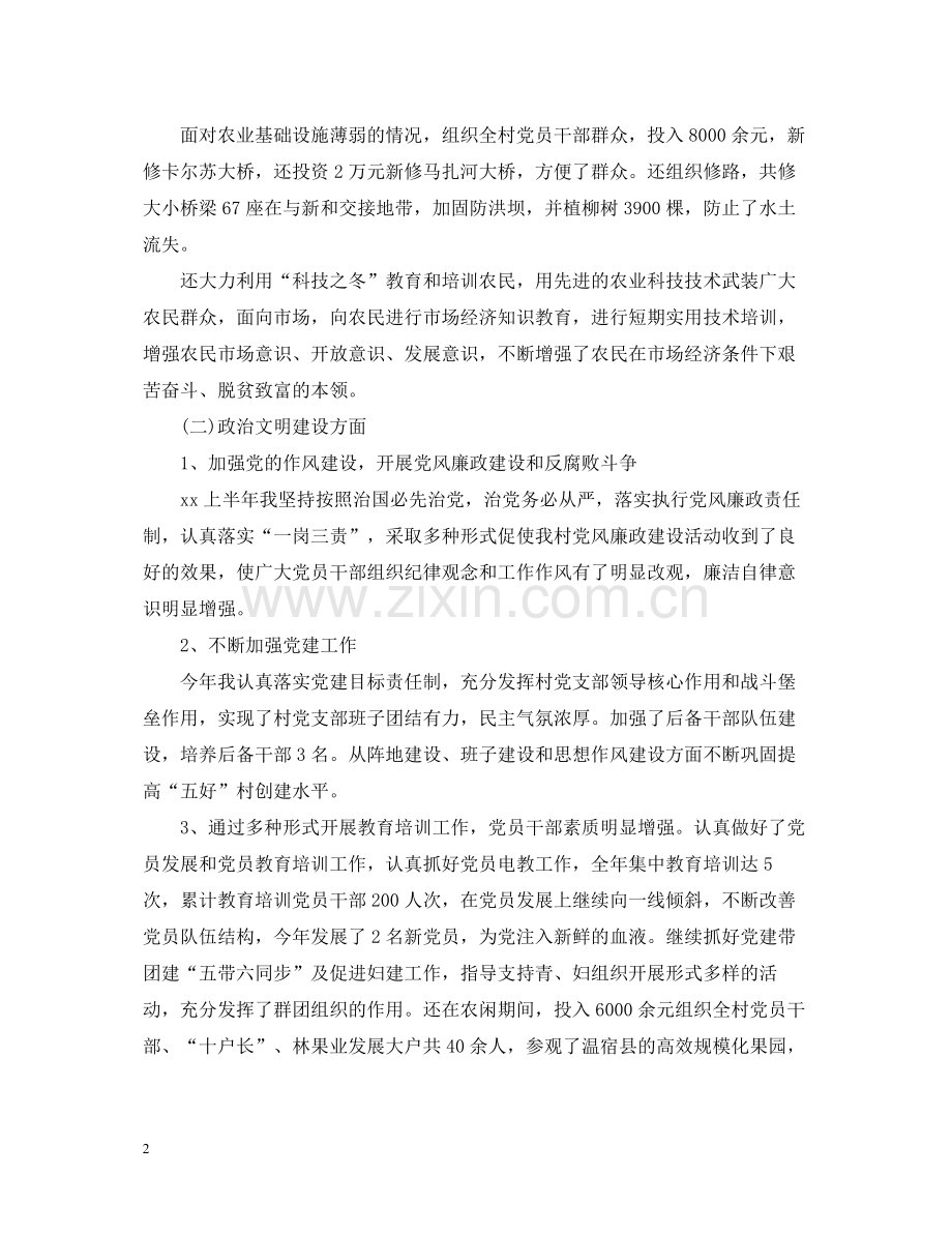 村党支部书记年终工作总结.docx_第2页