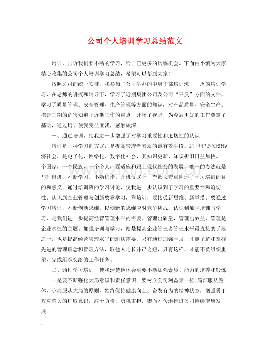 公司个人培训学习总结范文.docx_第1页