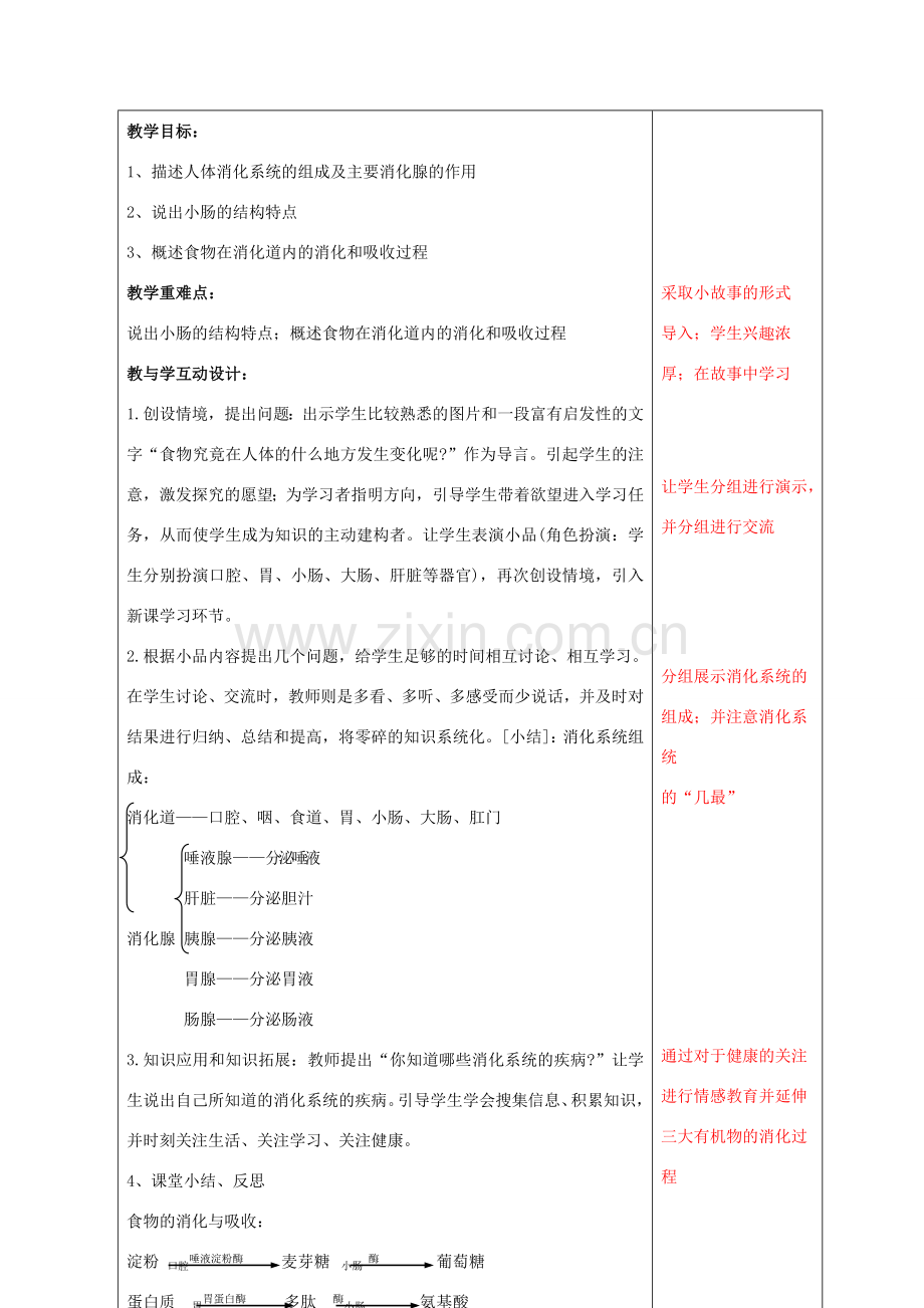 中考生物 3 消化系统复习教案（2）-人教版初中九年级全册生物教案.doc_第2页