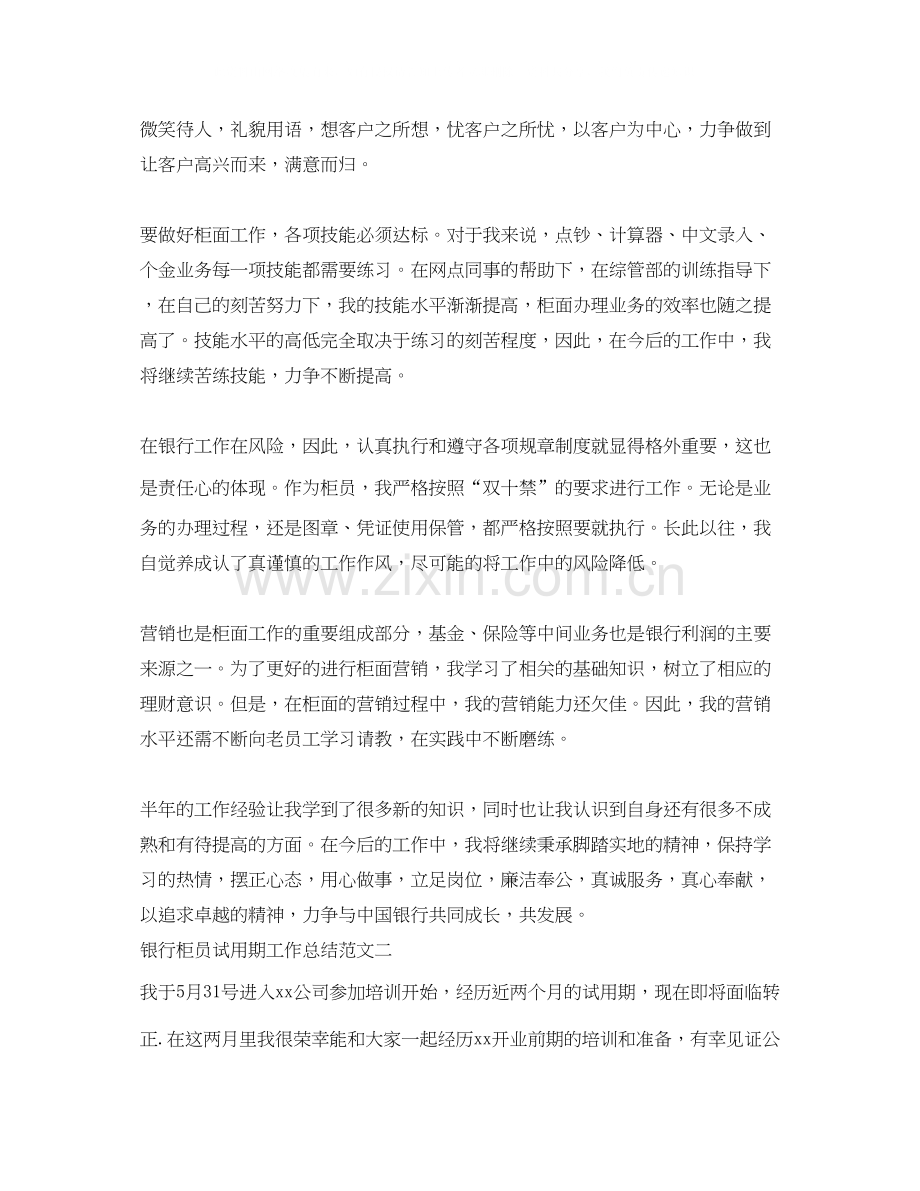 银行柜员试用期工作总结与计划.docx_第2页