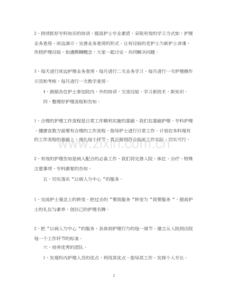 医院骨科护师工作计划.docx_第2页