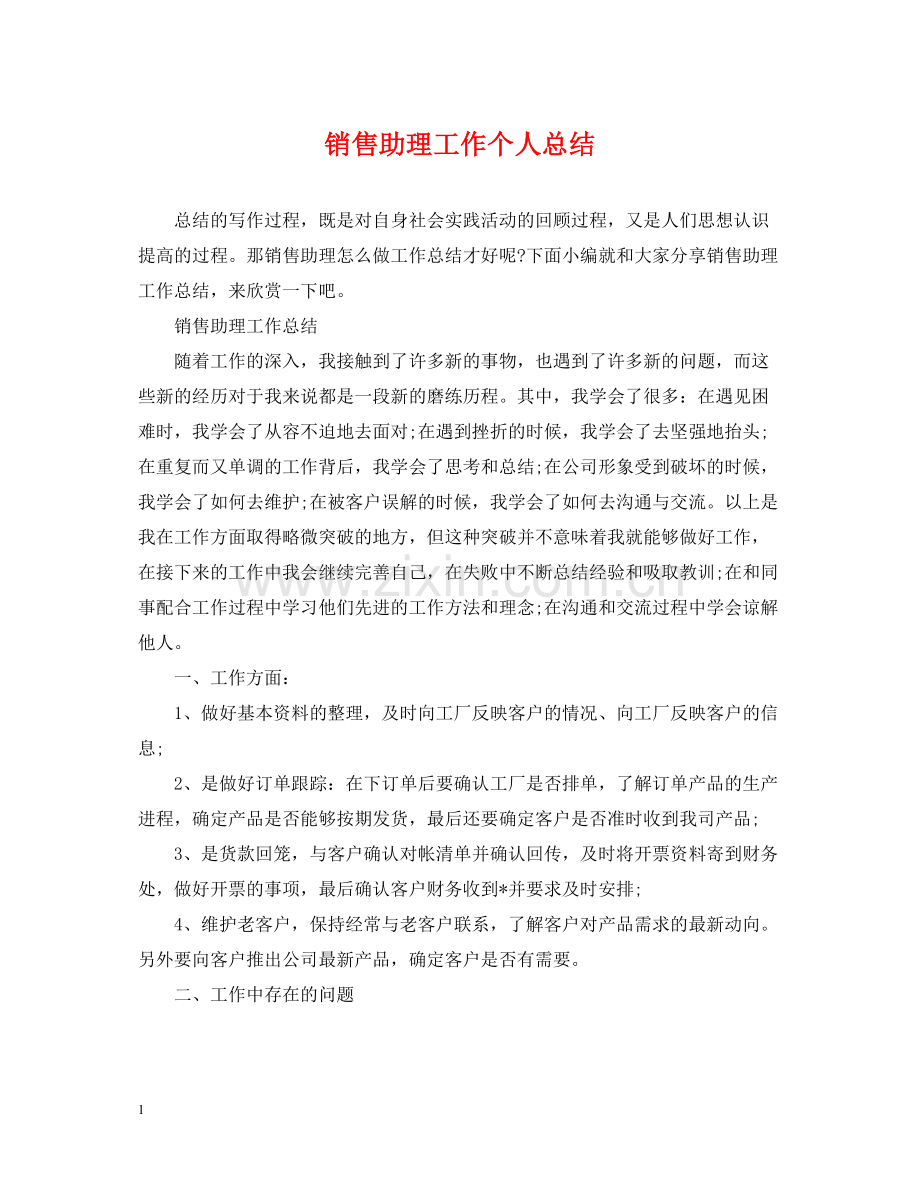 销售助理工作个人总结.docx_第1页