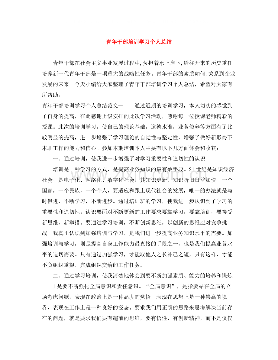 青年干部培训学习个人总结.docx_第1页