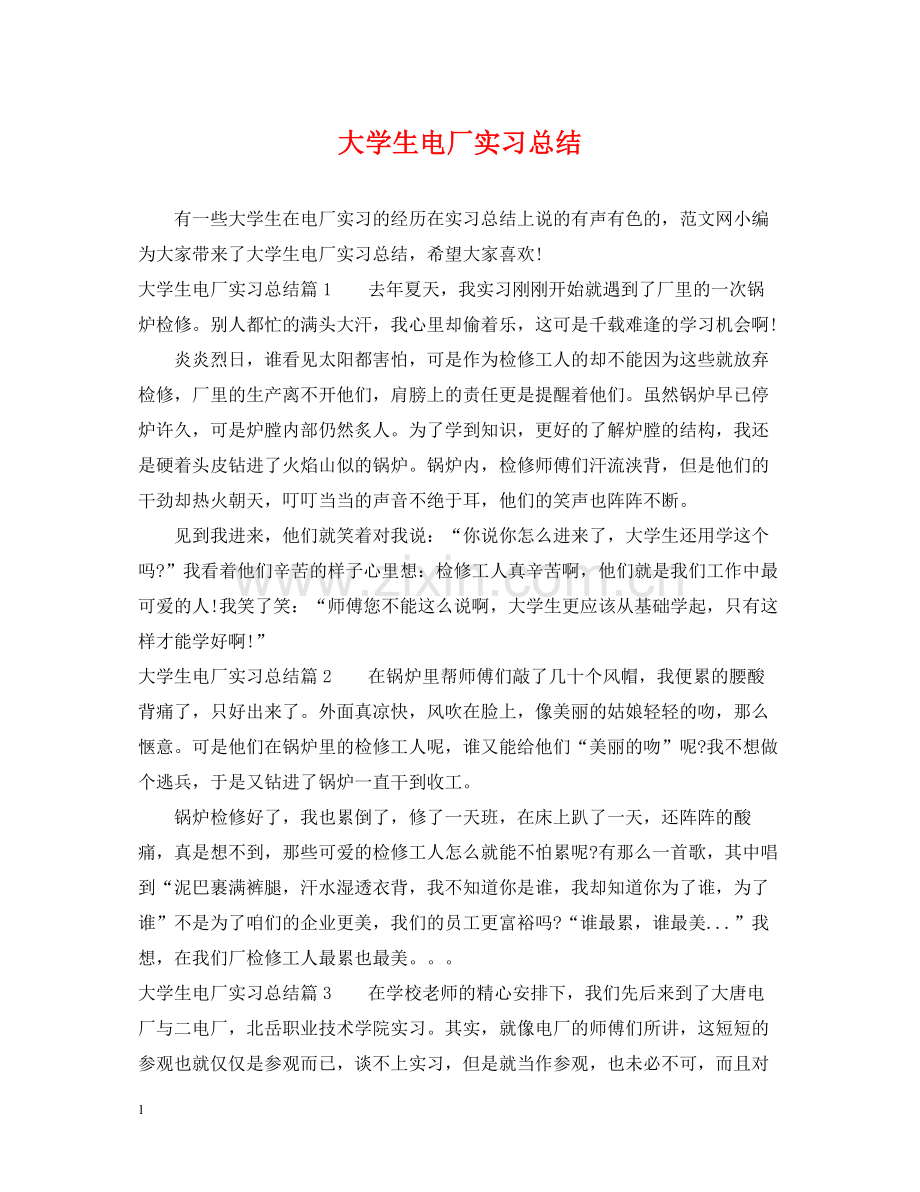 大学生电厂实习总结.docx_第1页