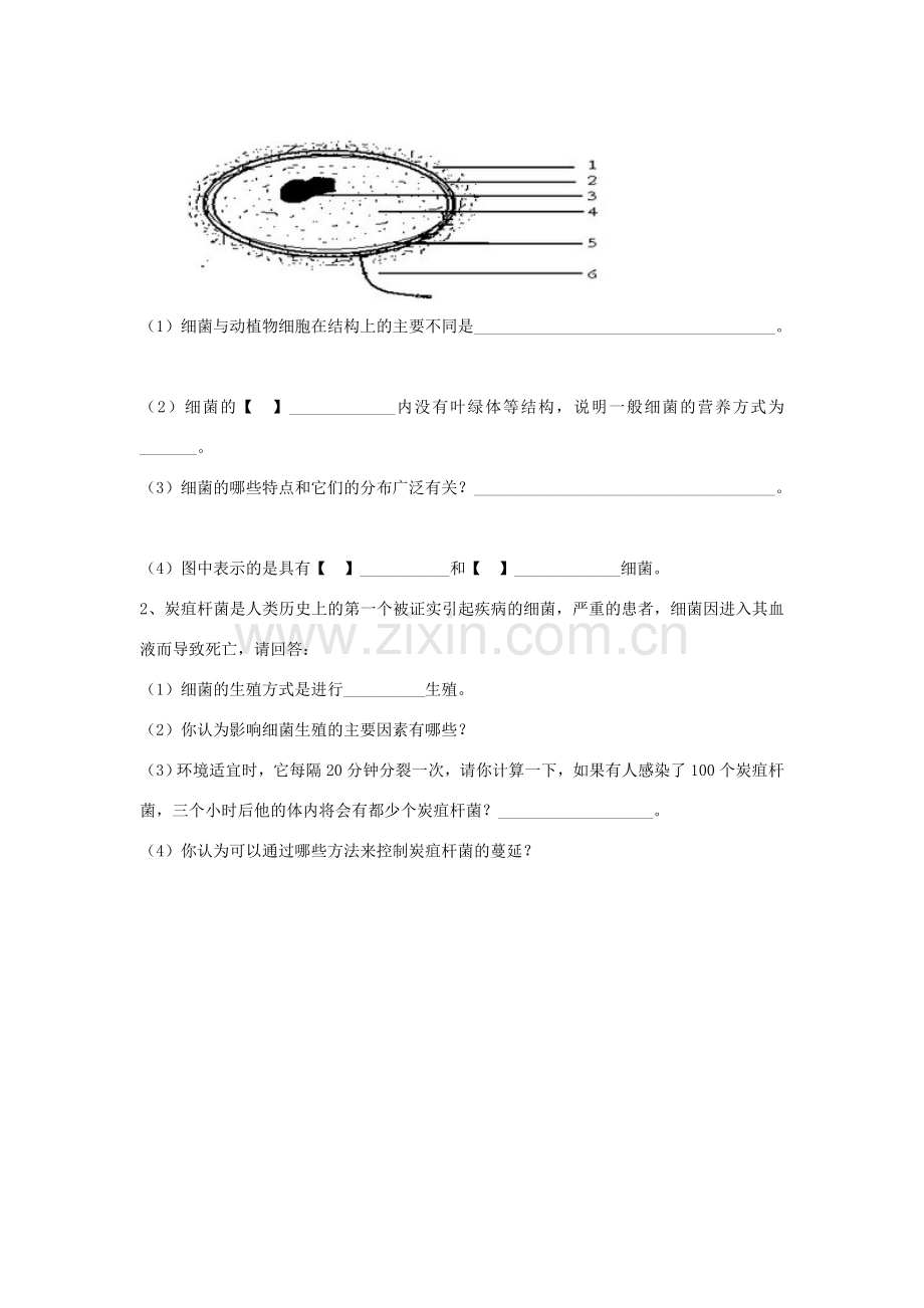 八年级生物上册 5.4.2 细菌练习题2（无答案）（新版）新人教版.doc_第2页