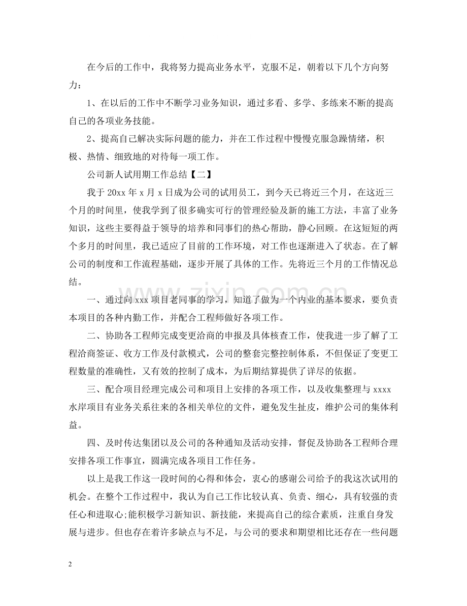 公司新人试用期工作总结.docx_第2页