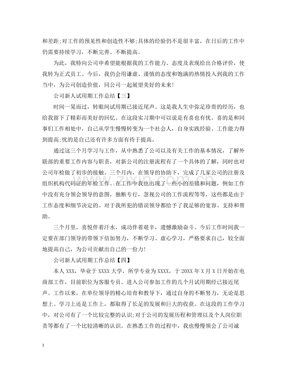 公司新人试用期工作总结.docx_第3页