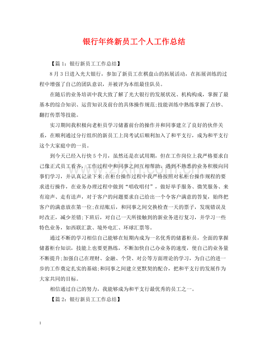 银行年终新员工个人工作总结.docx_第1页