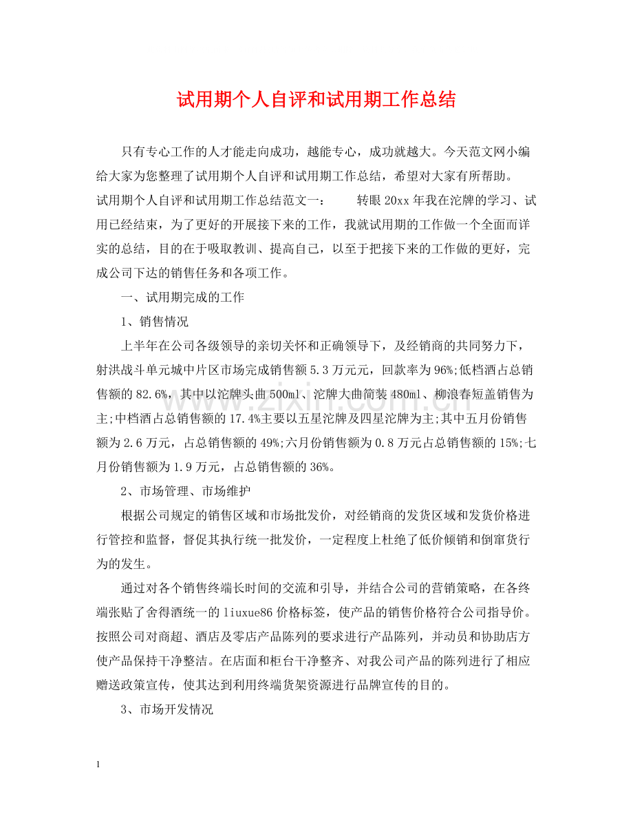 试用期个人自评和试用期工作总结.docx_第1页