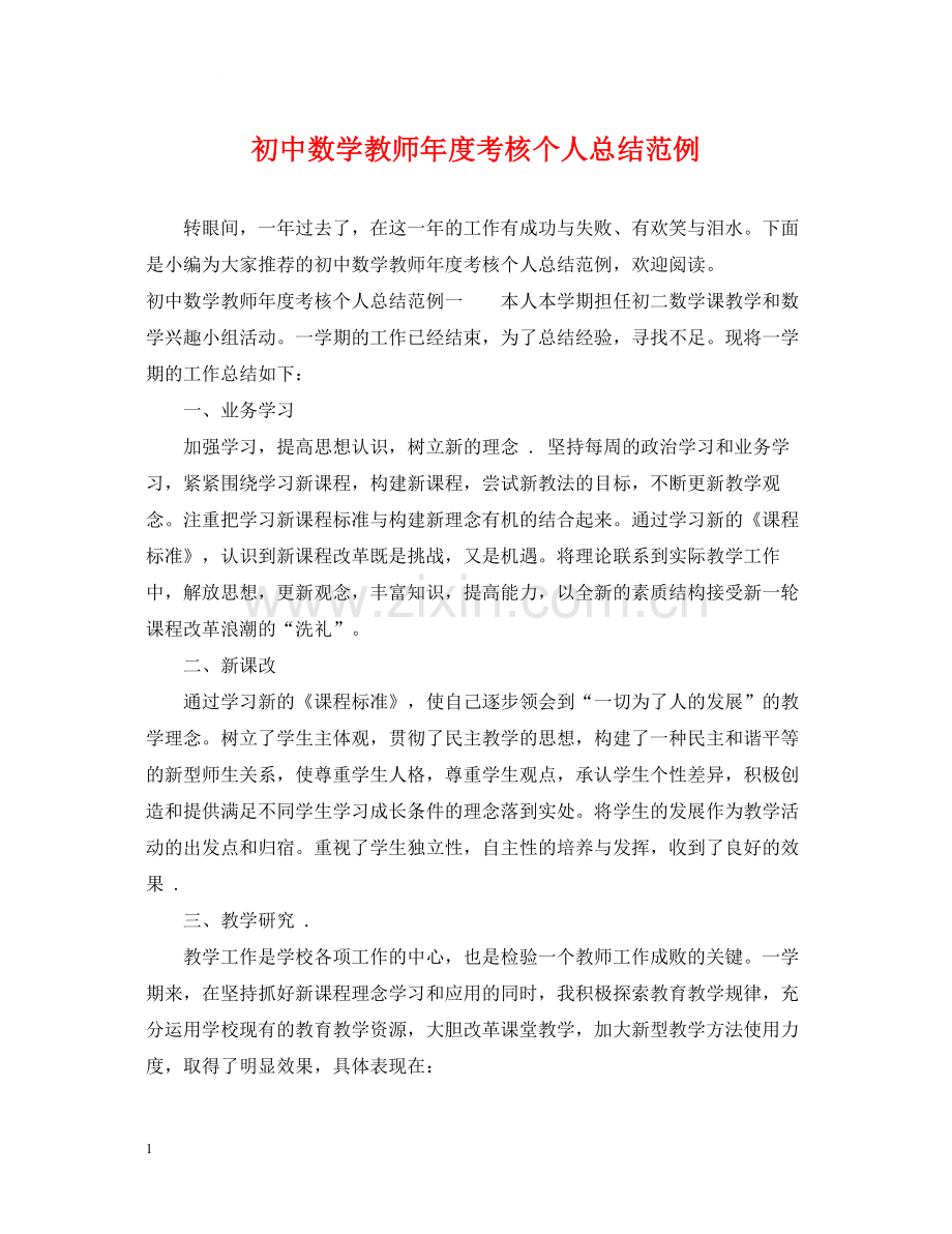 初中数学教师年度考核个人总结范例.docx_第1页