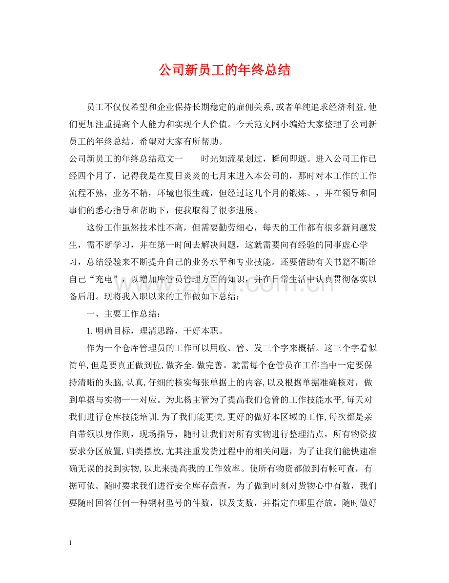 公司新员工的年终总结.docx_第1页