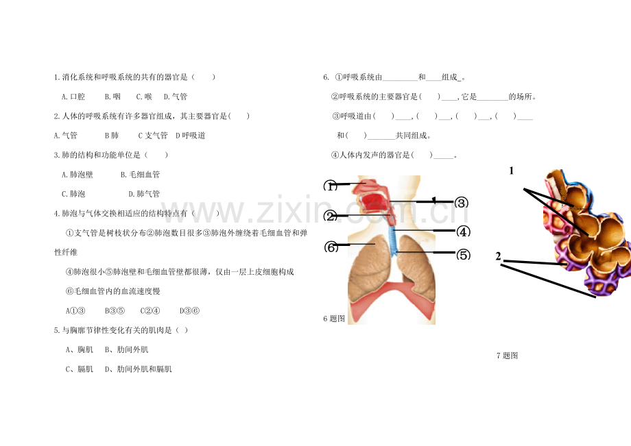 七年级生物下册 第一节 人体与外界的气体交换教案 济南版.doc_第2页