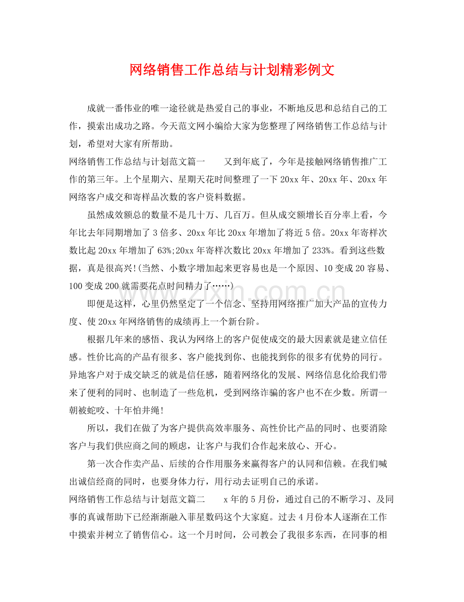 网络销售工作总结与计划精彩例文 .docx_第1页