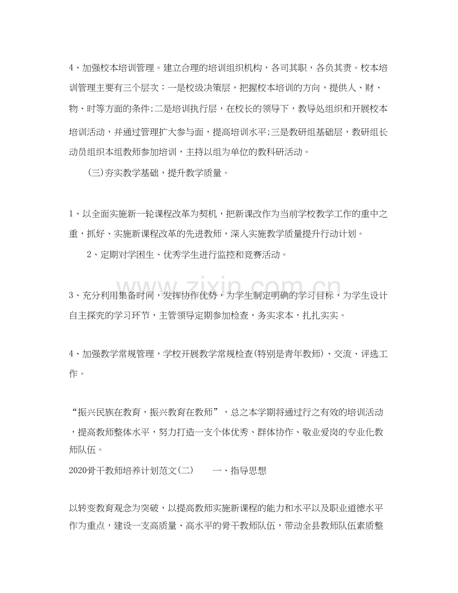 骨干教师培养计划范文.docx_第3页