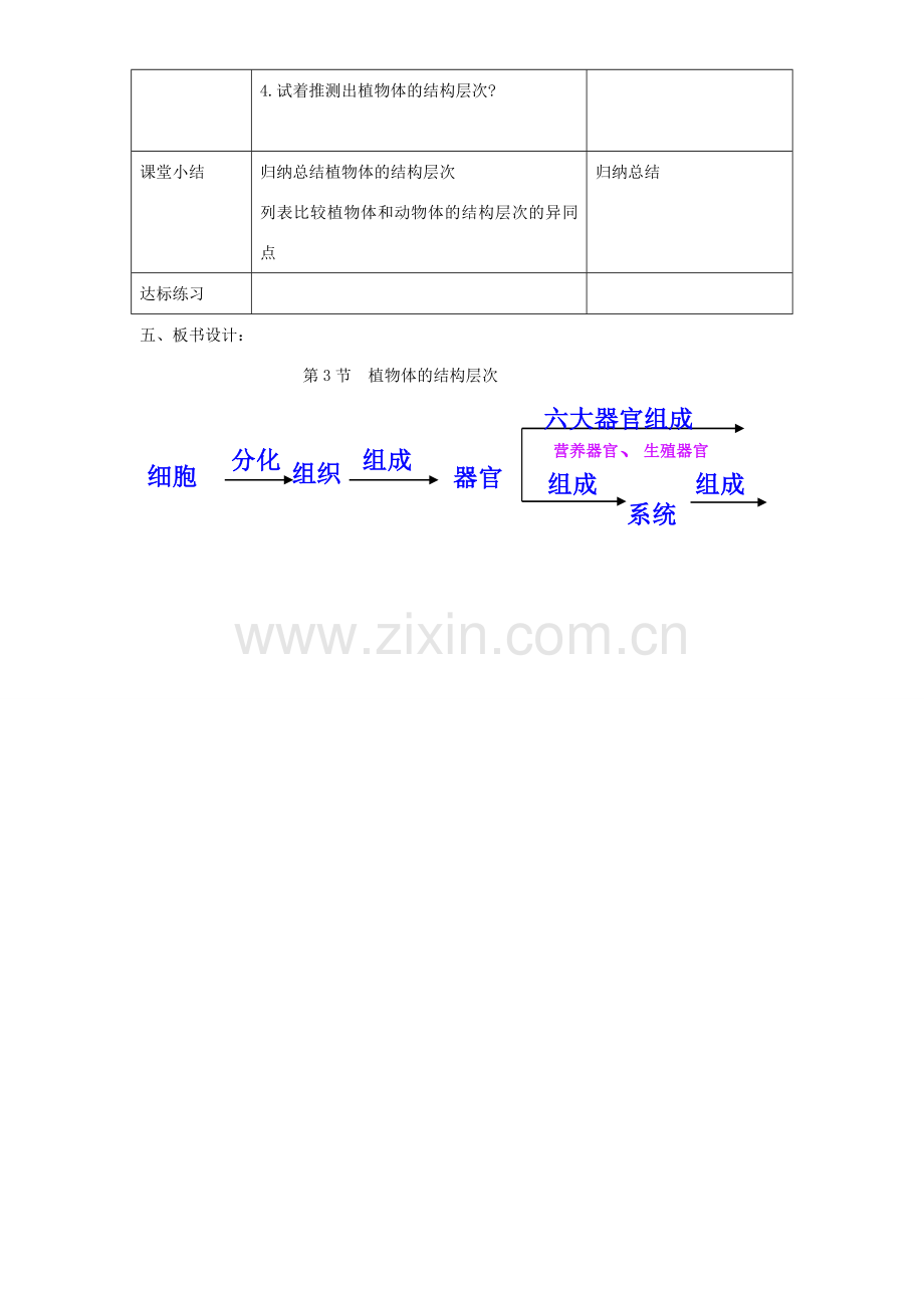 七年级生物上册 第二单元 第二章 第三节《植物体的结构层次》教案 （新版）新人教版-（新版）新人教版初中七年级上册生物教案.doc_第2页