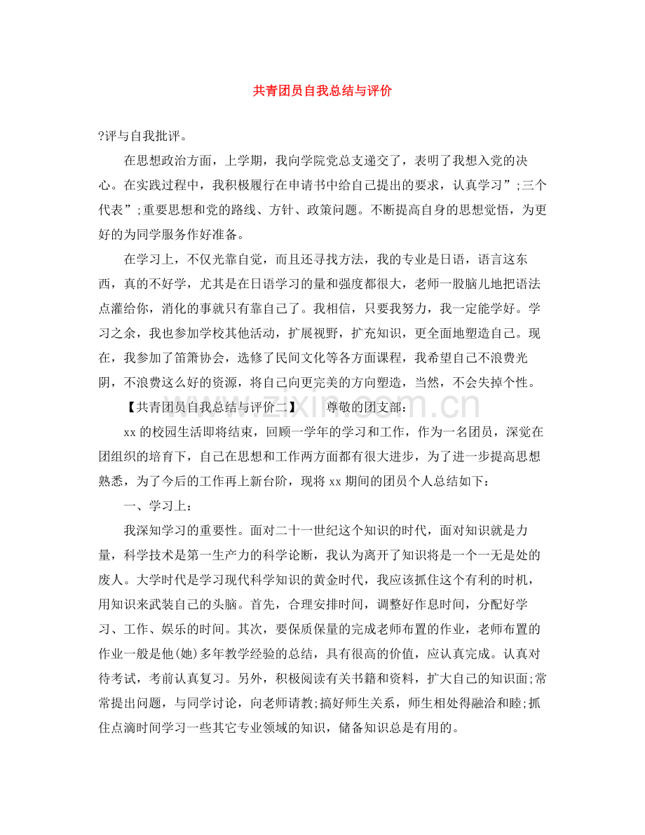 共青团员自我总结与评价.docx_第1页