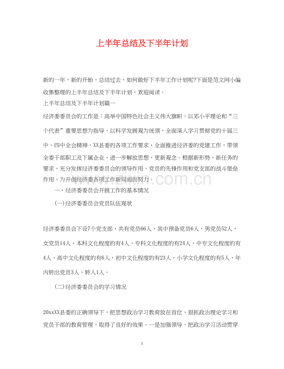 上半年总结及下半年计划.docx_第1页