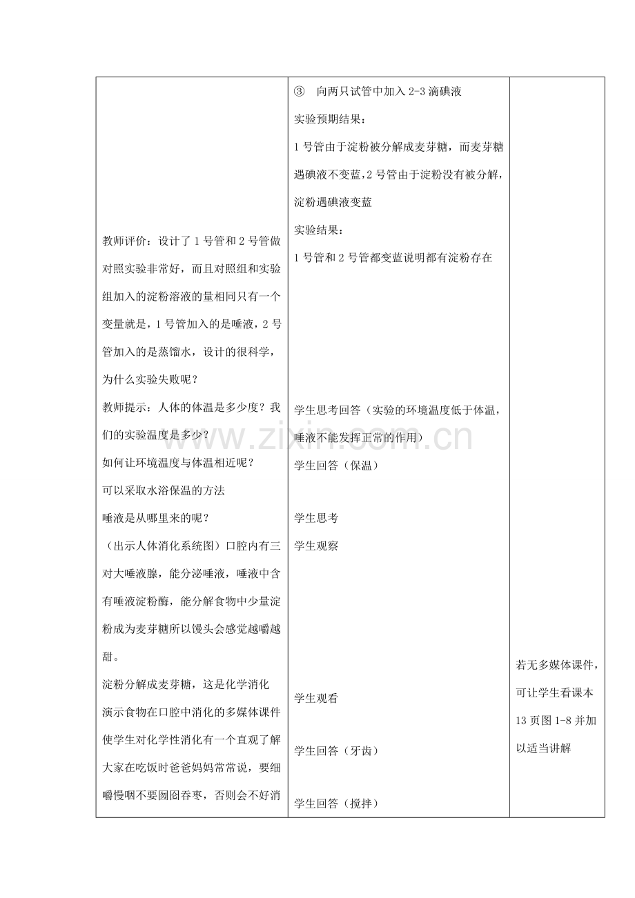 七年级生物下册 第二单元 第一章 第一节 食物在口腔中的消化教案 冀少版-人教版初中七年级下册生物教案.doc_第3页