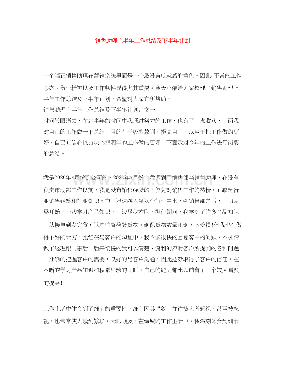 销售助理上半年工作总结及下半年计划.docx_第1页