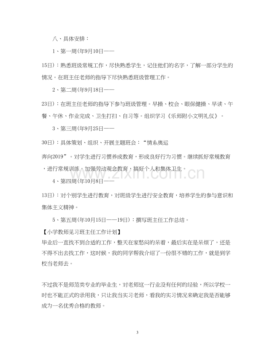 小学教师见习班主任工作计划.docx_第3页