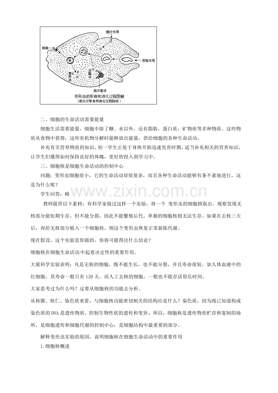 七年级生物上册 3.2 细胞是生命活动的单位教案1 北师大版.doc_第3页