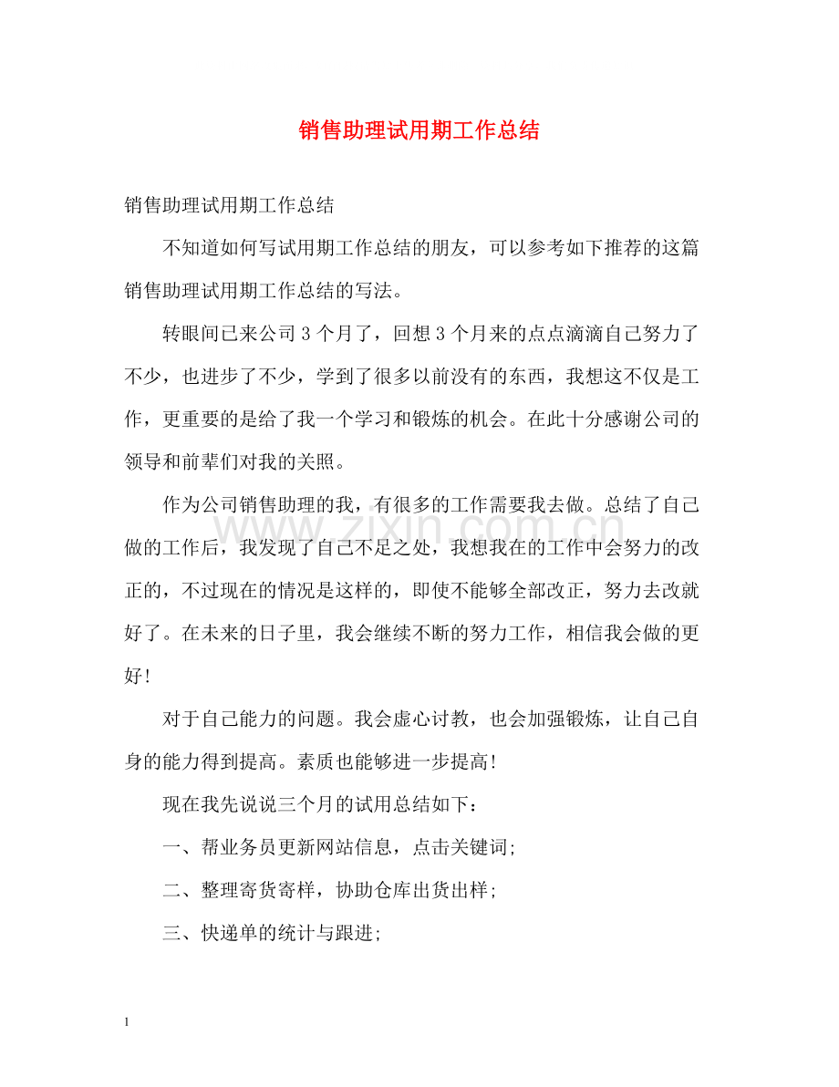 销售助理试用期工作总结.docx_第1页