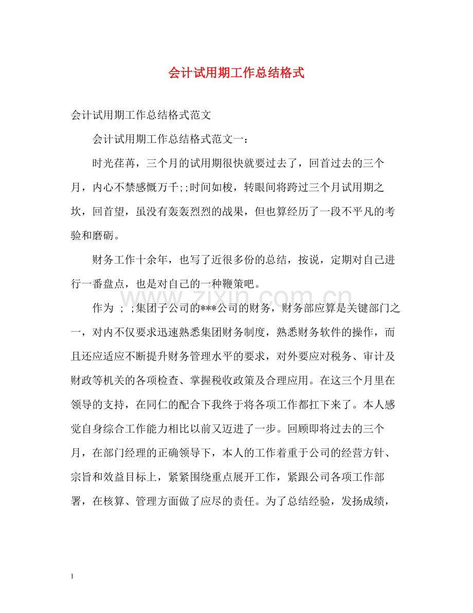 会计试用期工作总结格式.docx_第1页