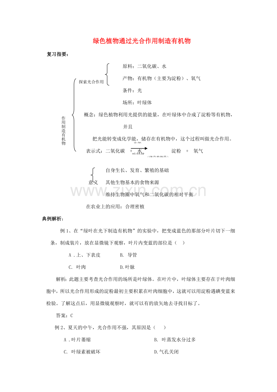 七年级生物上册 绿色植物通过光合作用制造有机物复习教案 人教新课标版.doc_第1页