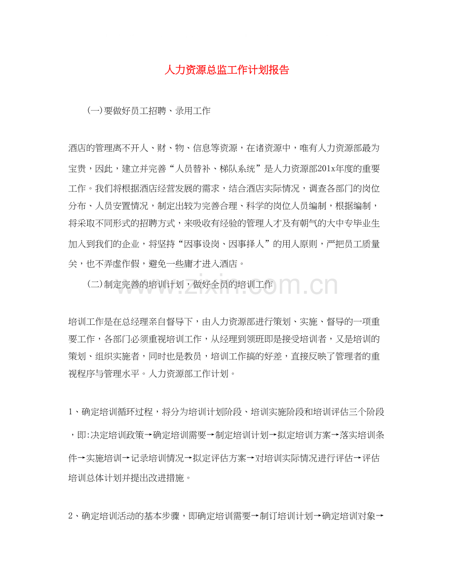 人力资源总监工作计划报告.docx_第1页