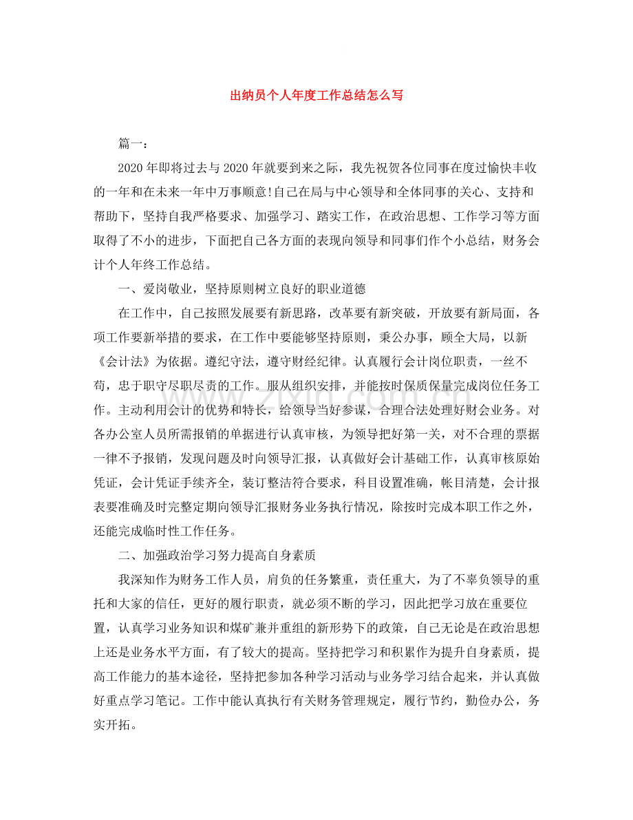 出纳员个人年度工作总结怎么写.docx_第1页