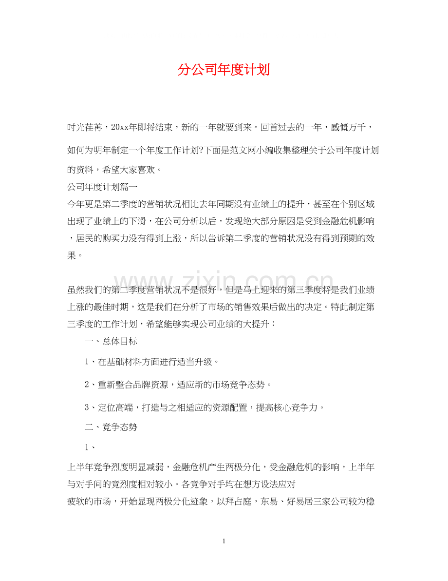 分公司年度计划.docx_第1页