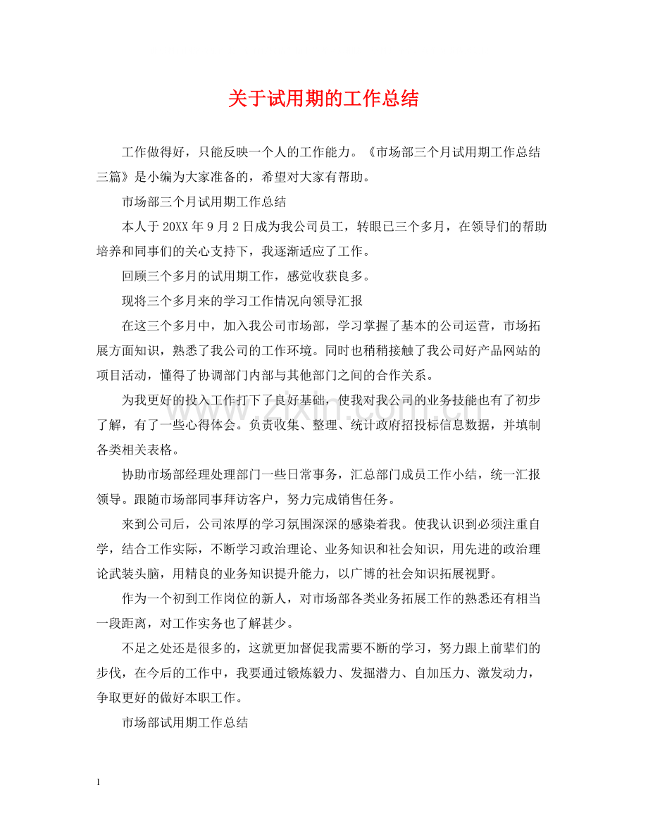 关于试用期的工作总结.docx_第1页