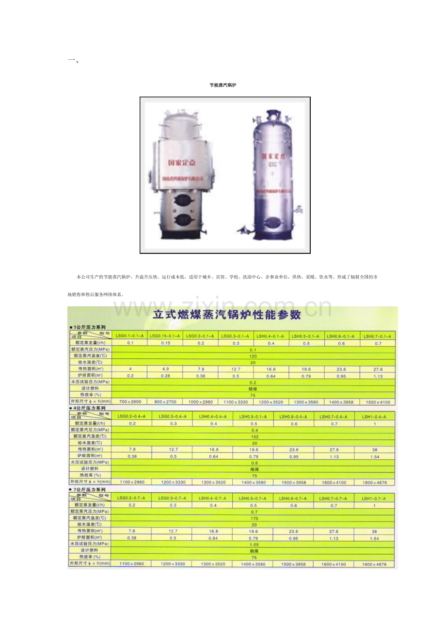 燃油燃气锅炉.doc_第1页