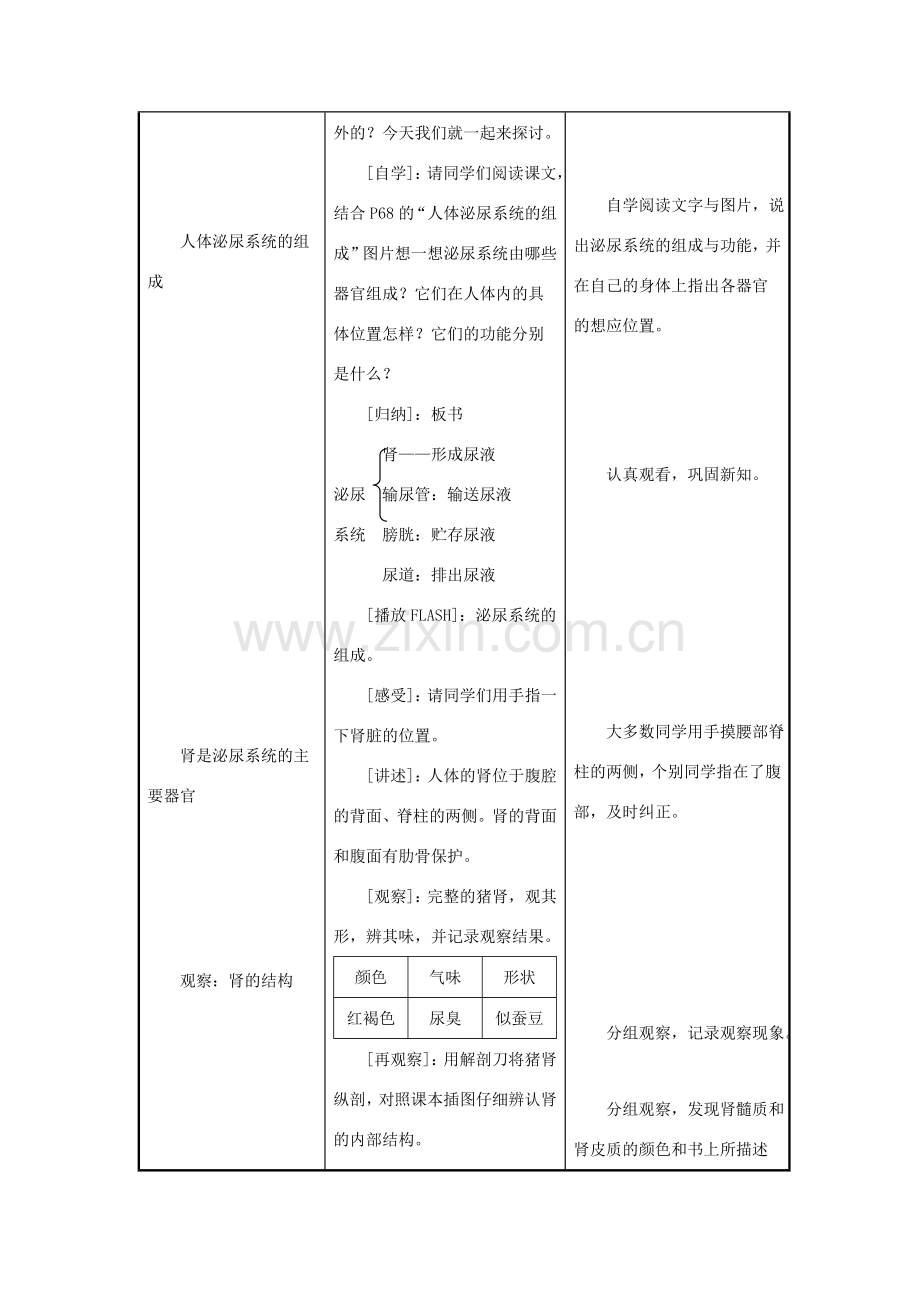 七年级生物下册 第4单元 生物圈中的人 第一节 人体泌尿系统的组成名师教案2 苏教版.doc_第2页