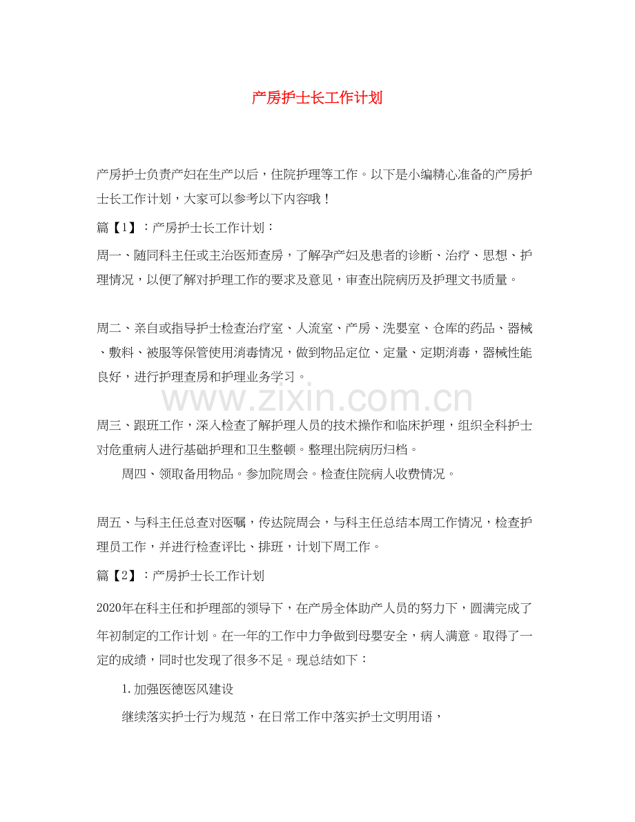 产房护士长工作计划.docx_第1页