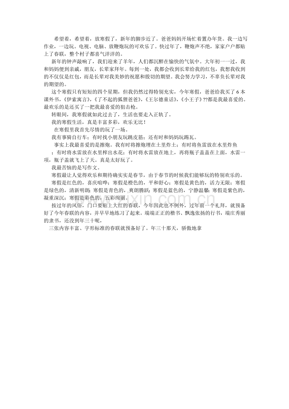 快乐的假期作文500字.doc_第2页