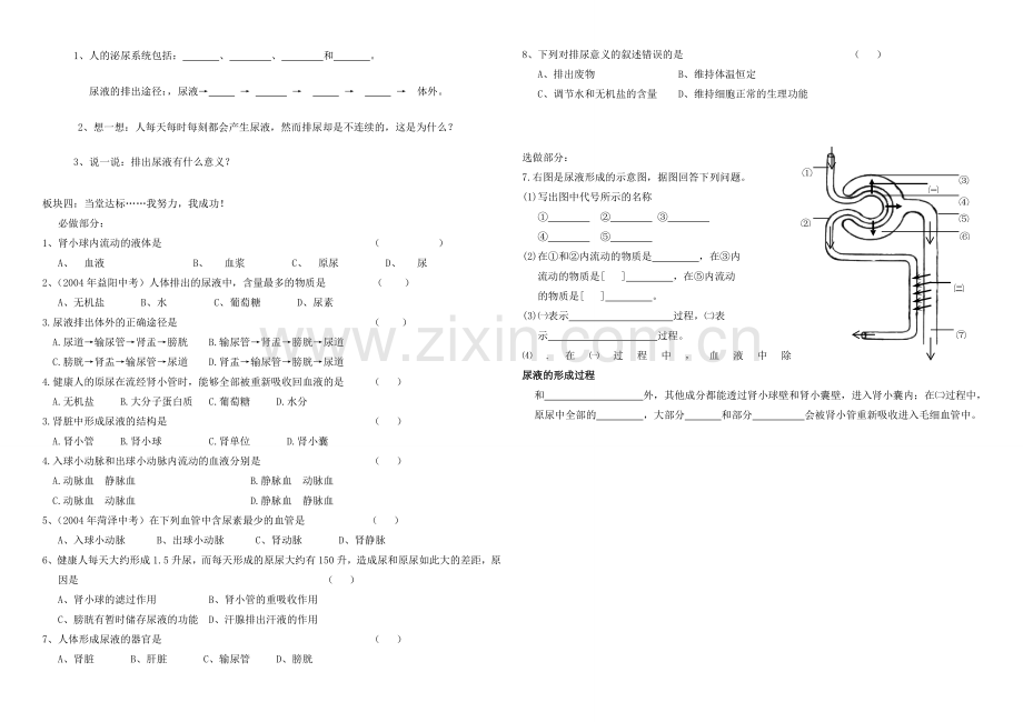 七年级生物下册 3.4.1 尿的形成和排出学案（无答案） 济南版.doc_第2页