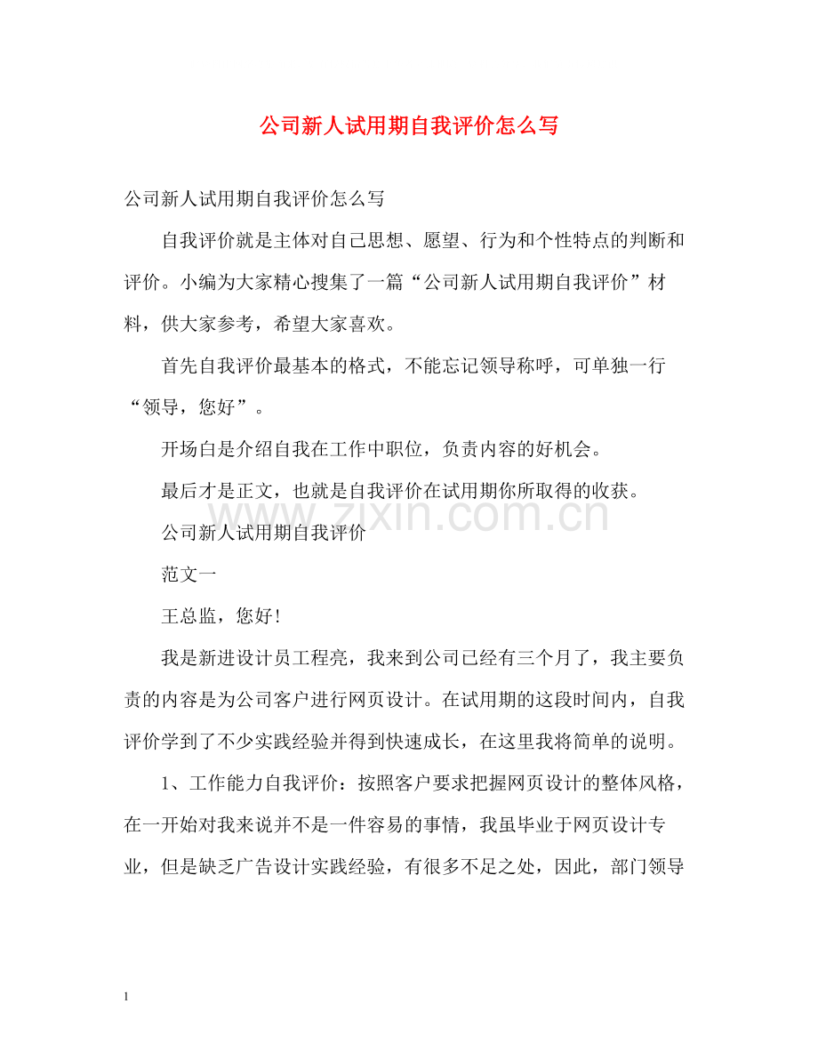 公司新人试用期自我评价怎么写.docx_第1页