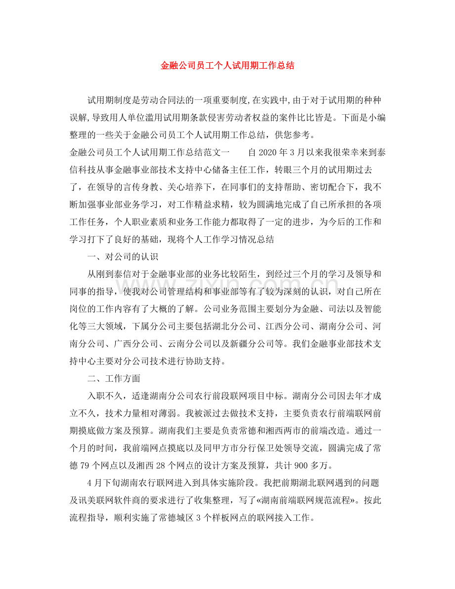 金融公司员工个人试用期工作总结.docx_第1页