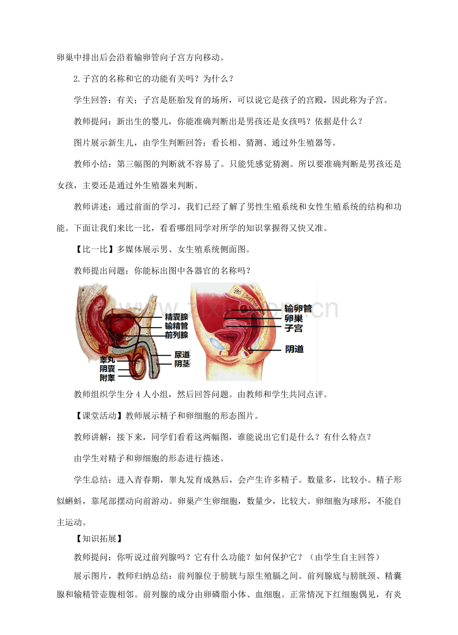 七年级生物下册 第四单元 第一章 第二节《人的生殖》教案 新人教版-新人教版初中七年级下册生物教案.doc_第3页