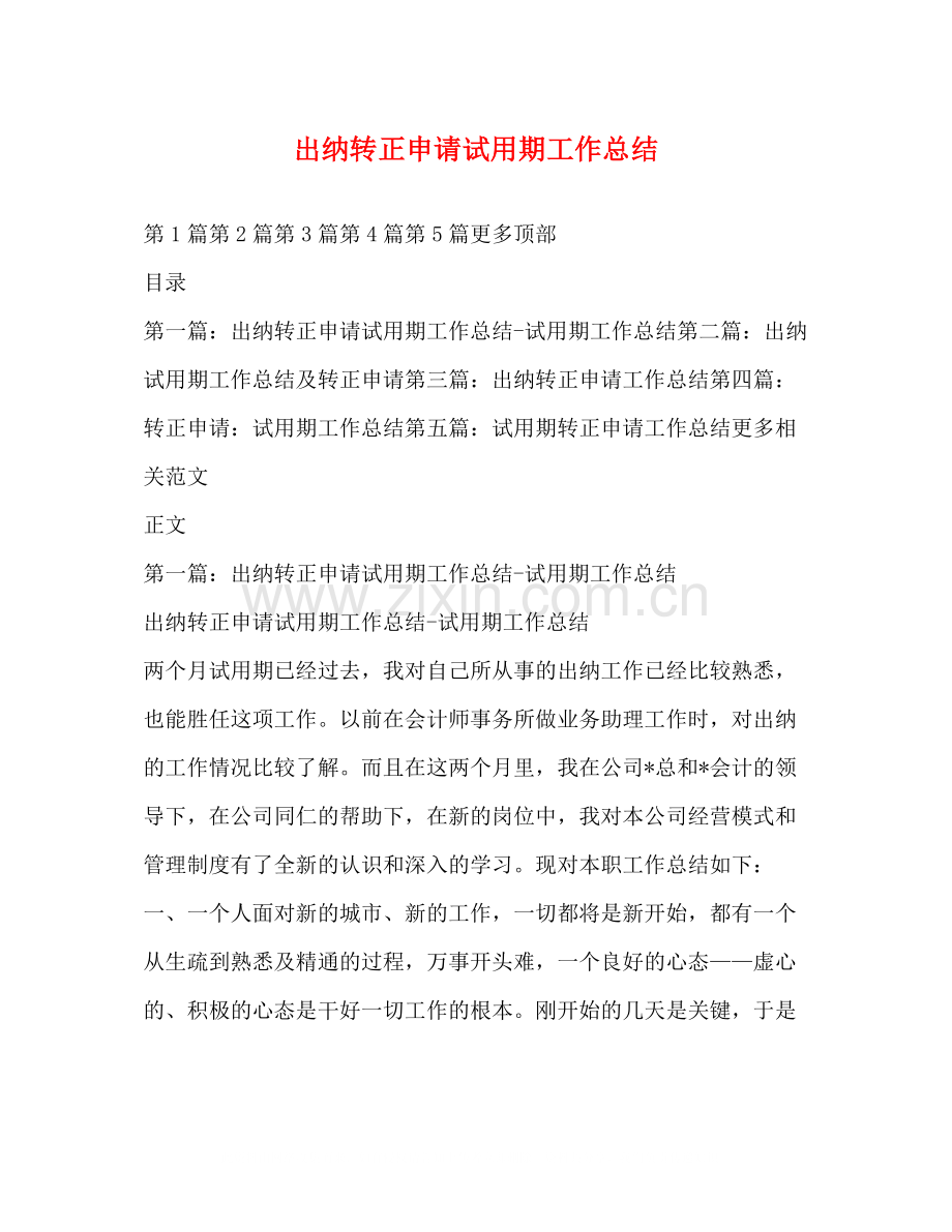 出纳转正申请试用期工作总结.docx_第1页