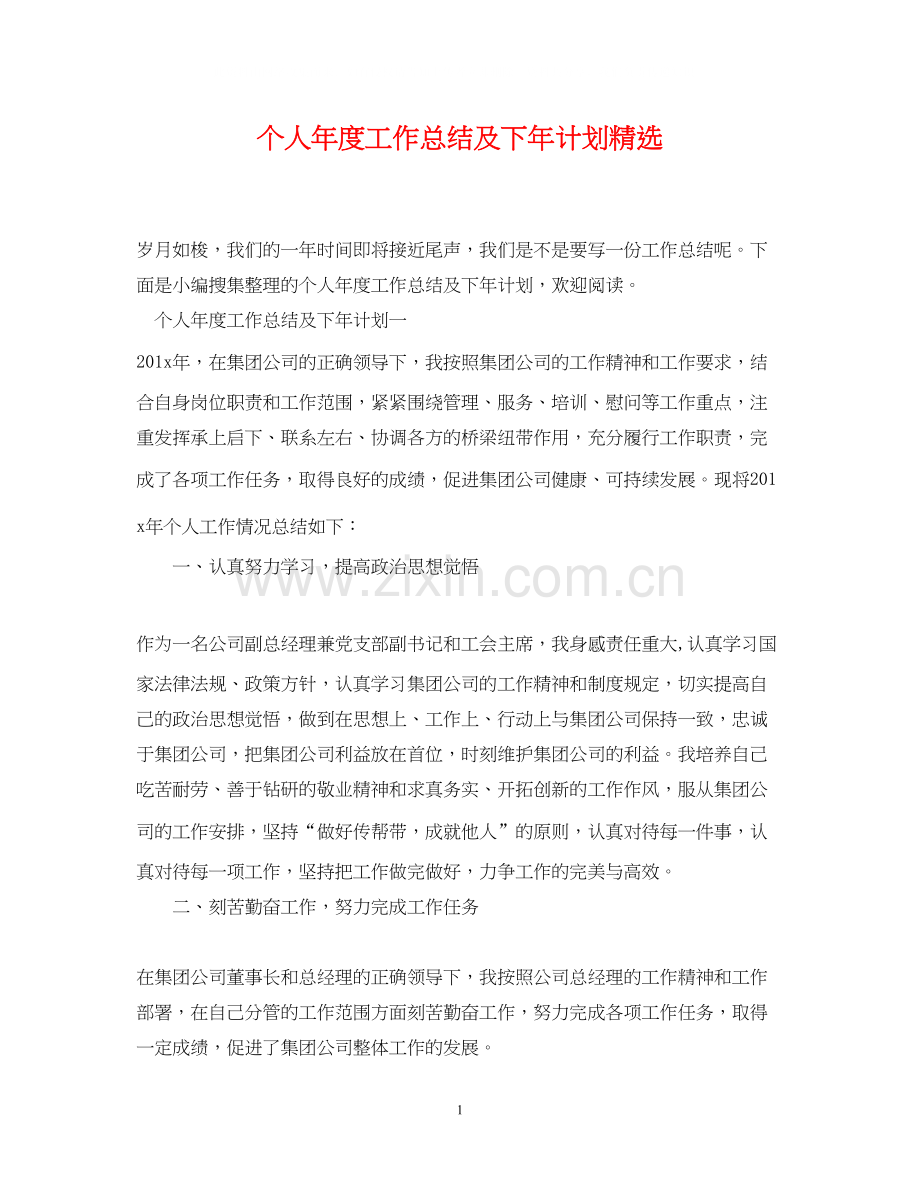 个人年度工作总结及下年计划.docx_第1页