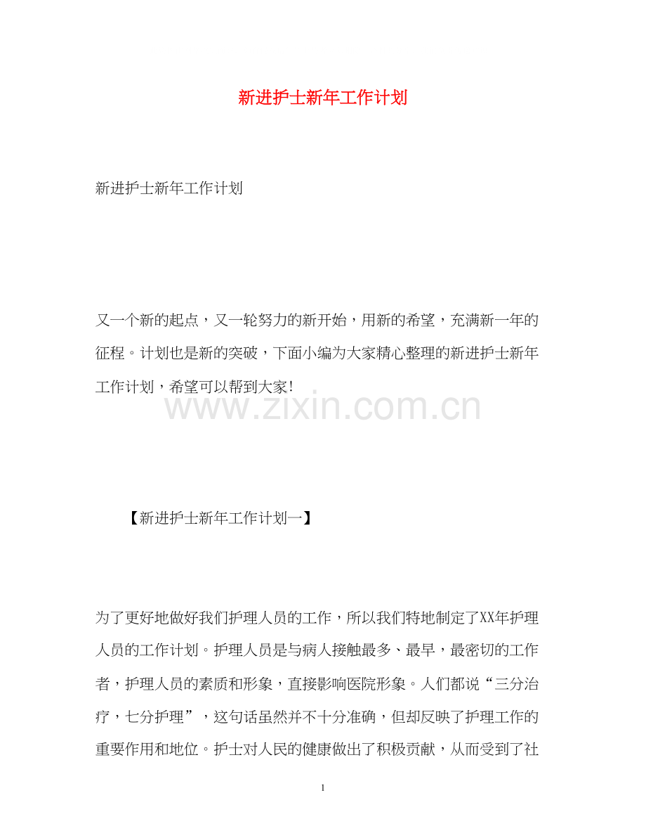 新进护士新年工作计划2).docx_第1页