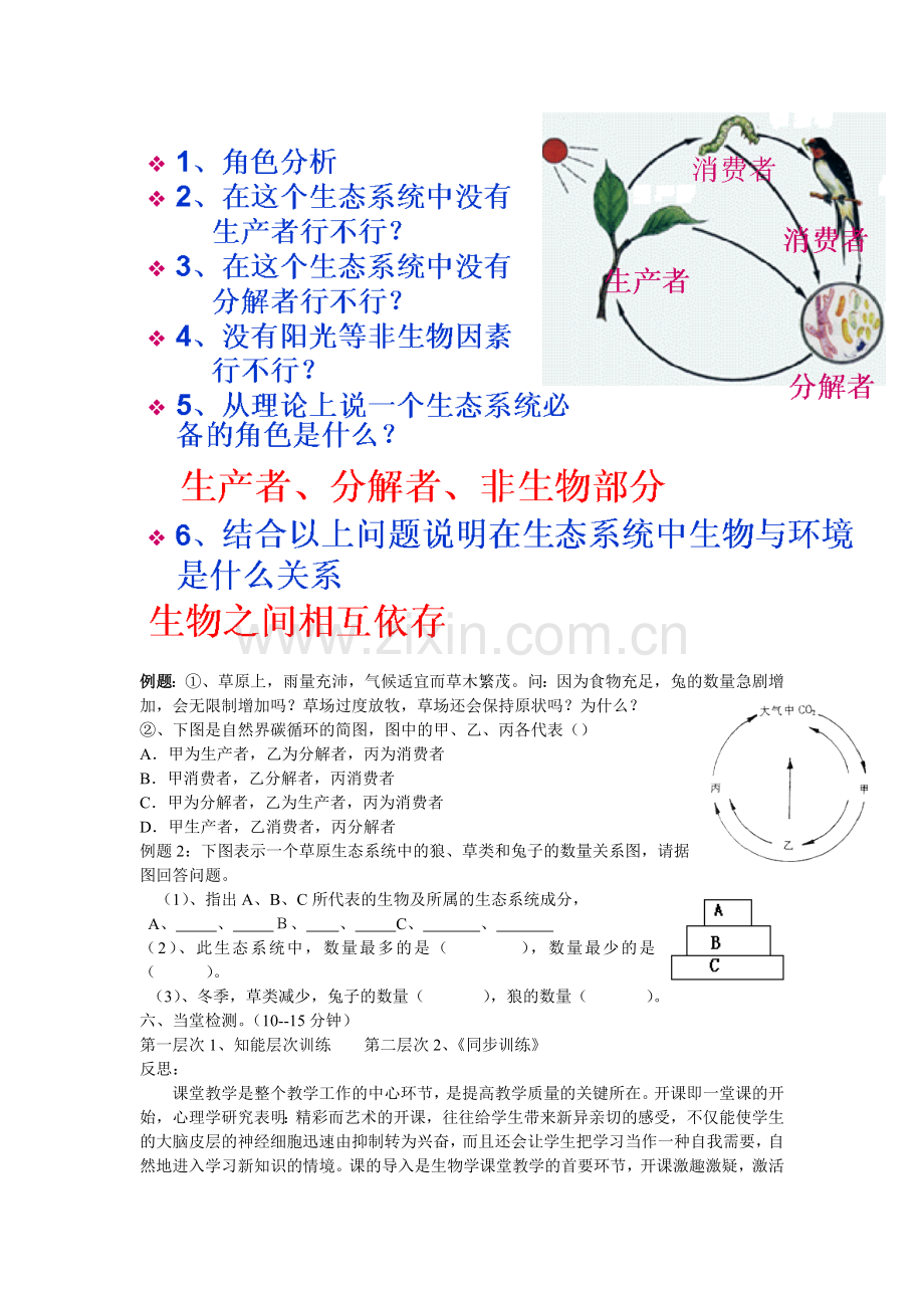 第一章第三节生物与环境组成生态系统.doc_第3页