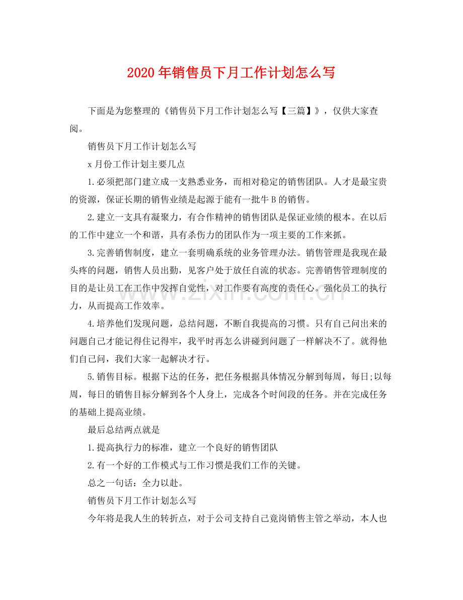 2020年销售员下月工作计划怎么写.docx_第1页