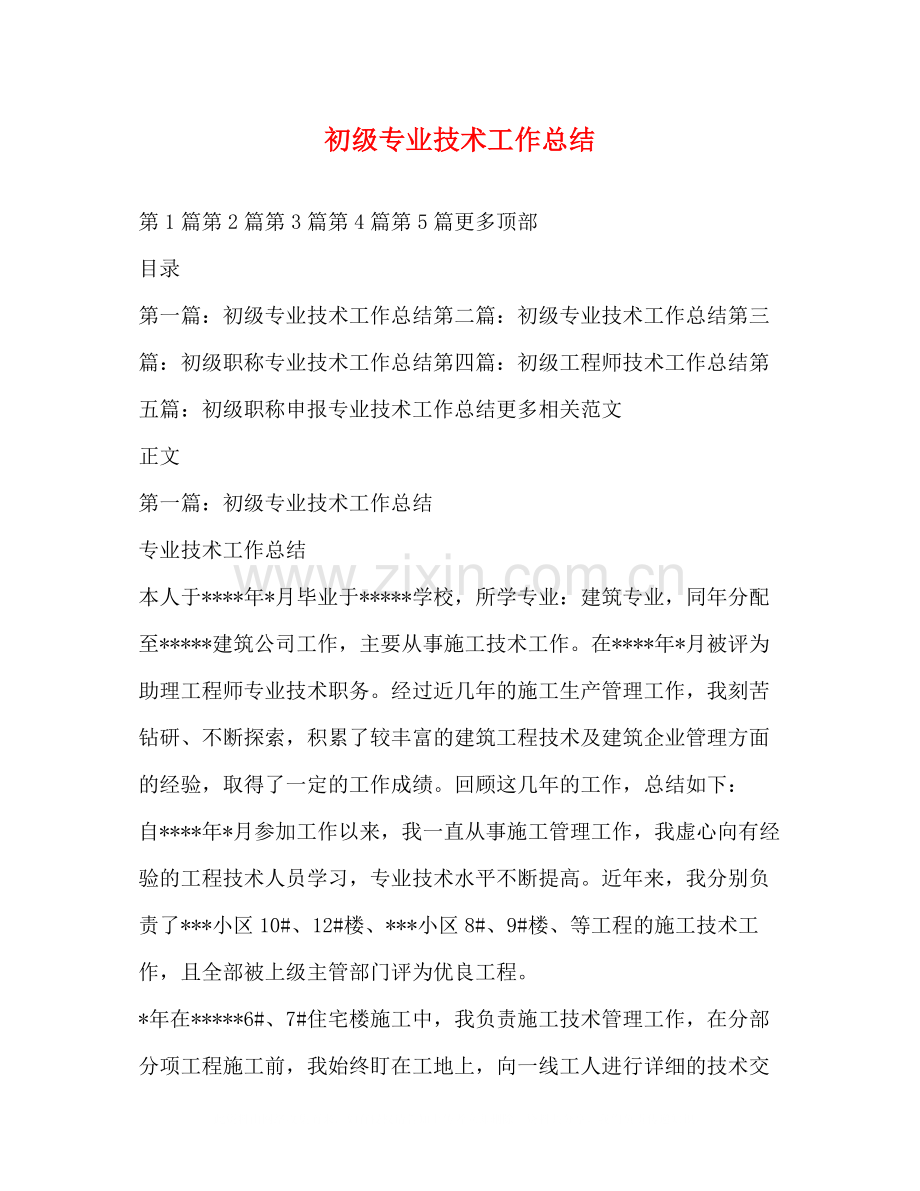 初级专业技术工作总结.docx_第1页