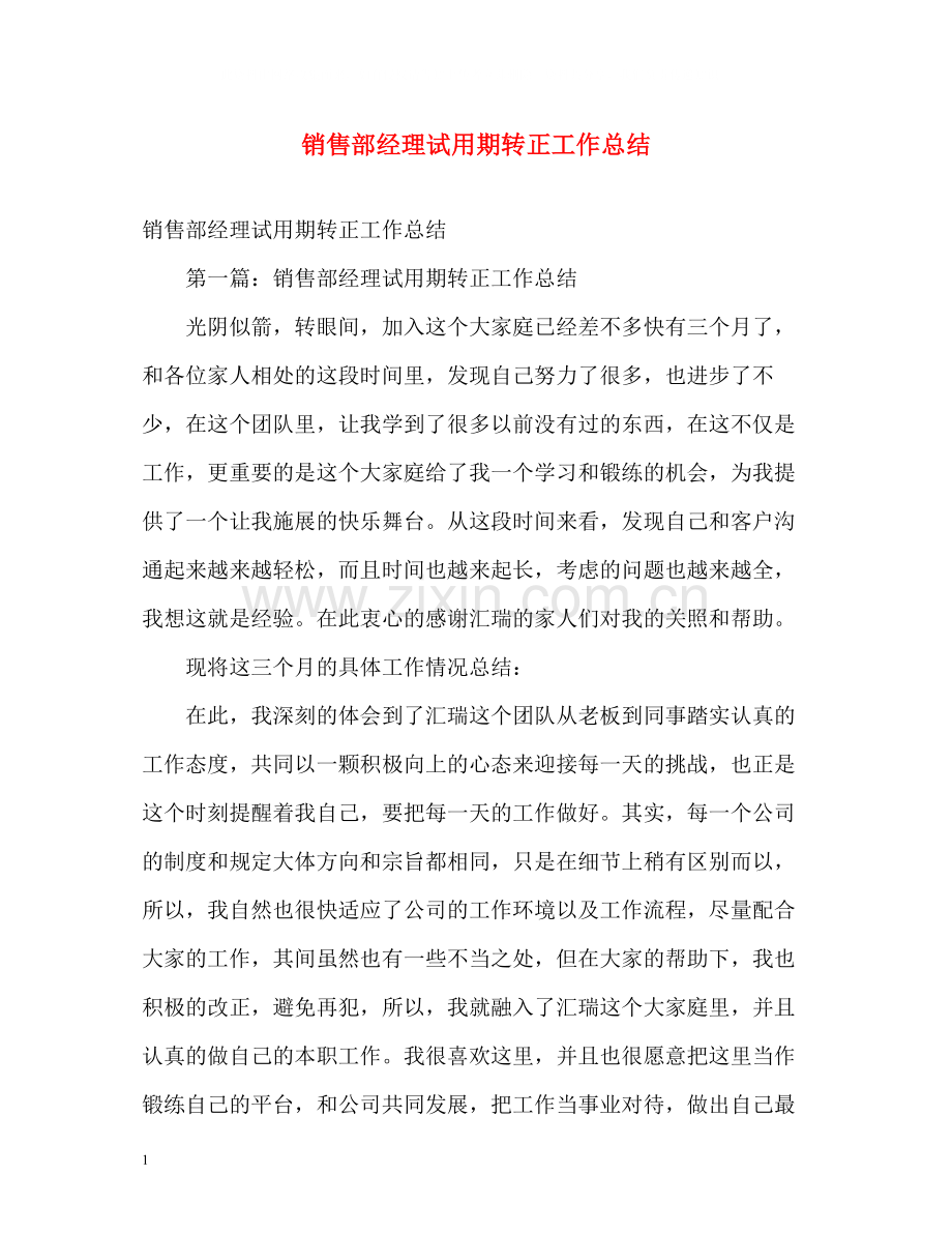 销售部经理试用期转正工作总结.docx_第1页