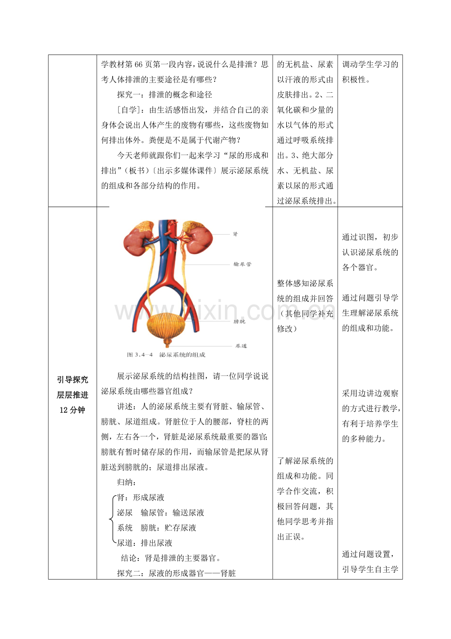 七年级生物下册 第3单元 第4章 第1节 尿液的形成和排出（第1课时）教案2 （新版）济南版.doc_第2页