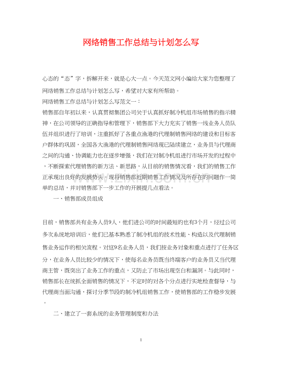 网络销售工作总结与计划怎么写.docx_第1页