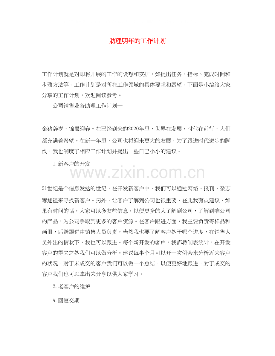 助理明年的工作计划.docx_第1页